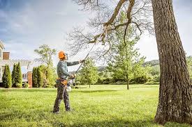 Best Utility Line Clearance  in Gordo, AL