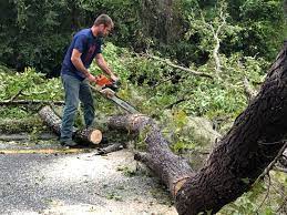 Best Aeration Services  in Gordo, AL