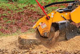 Best Weed Control  in Gordo, AL